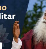 Descubre los mejores estudios de yoga y meditación en casa: guía completa