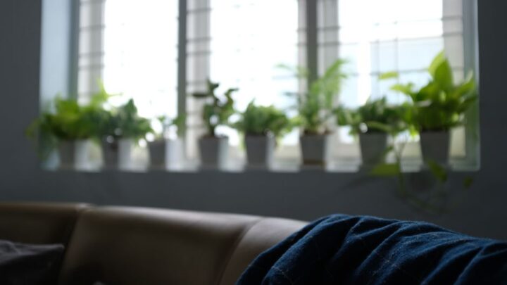 Cómo preparar tu casa antes de emprender un viaje internacional